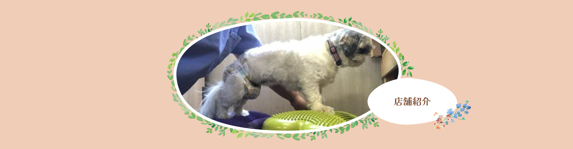 店舗紹介